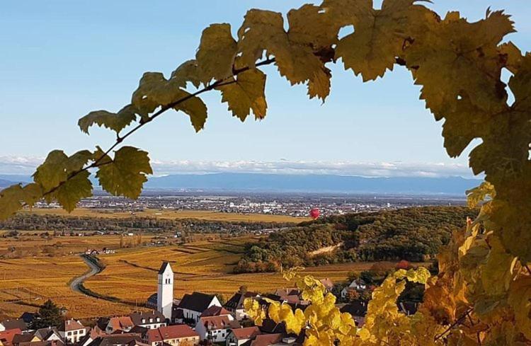 Gites Les Terrasses Du Wineck Katzenthal Eksteriør bilde